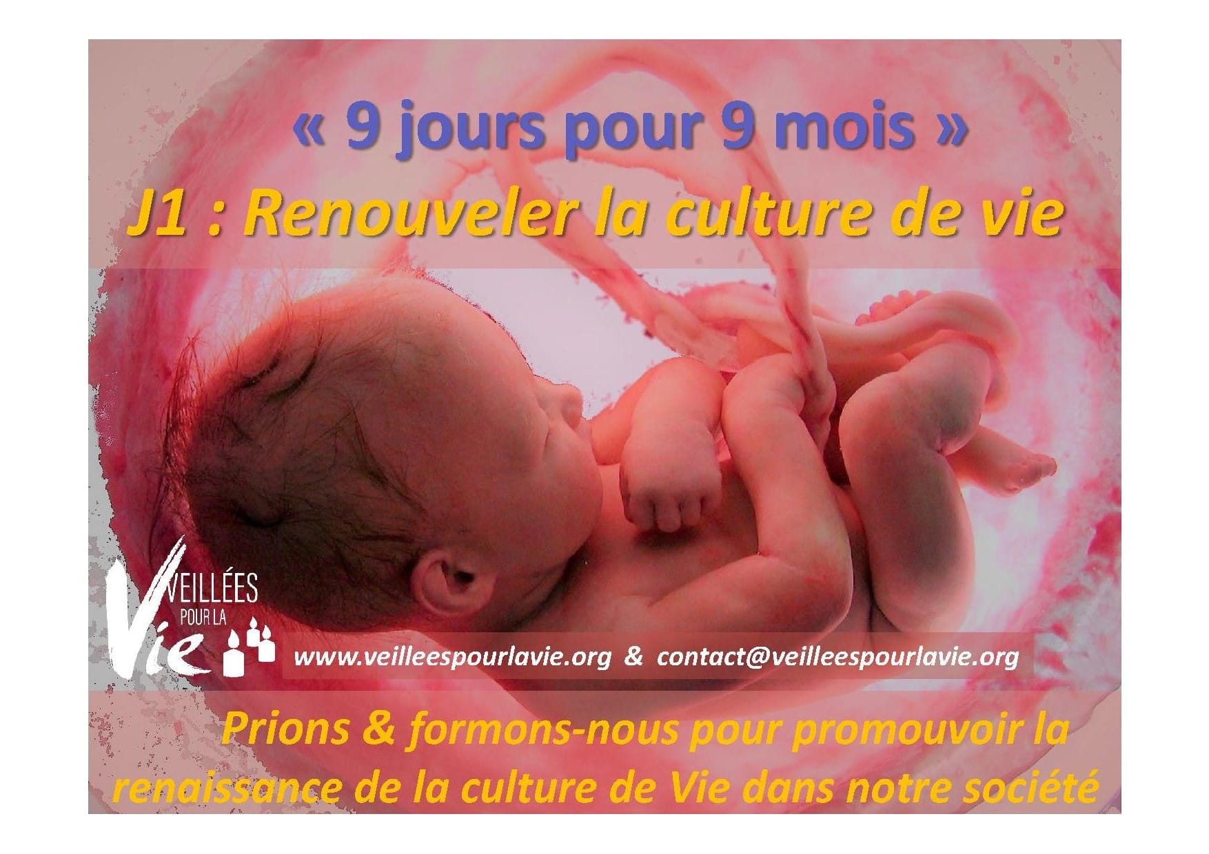 Neuvaine 1 : Renouveler la culture de vie