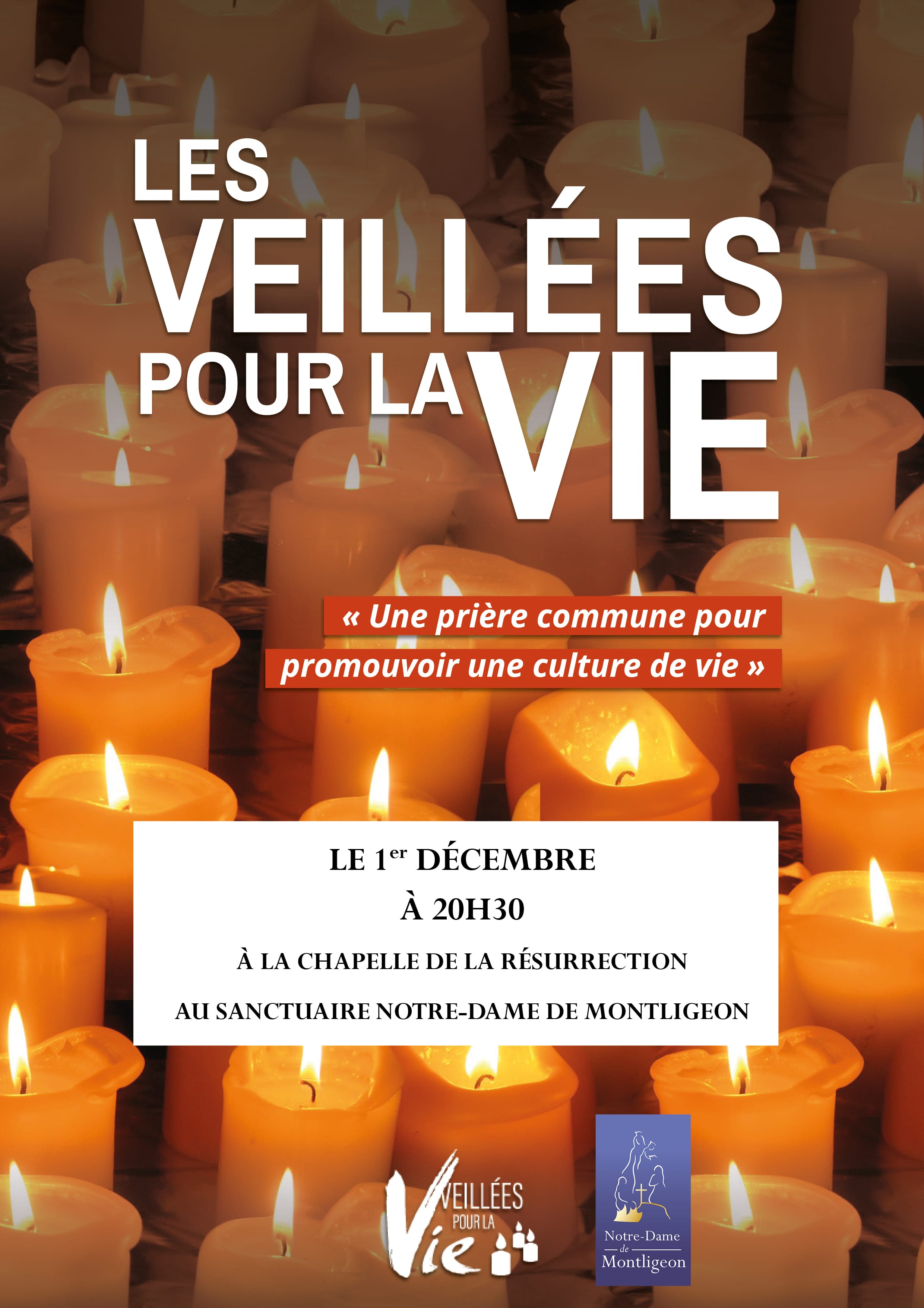 VEILLÉE POUR LA VIE AU SANCTUAIRE N-D DE MONTLIGEON