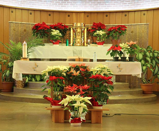 Messe pour la vie - Saint Donat