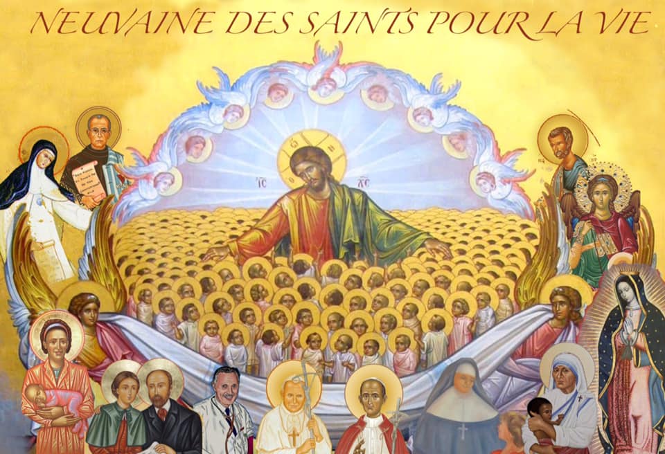Une Toussaint pour la Vie !