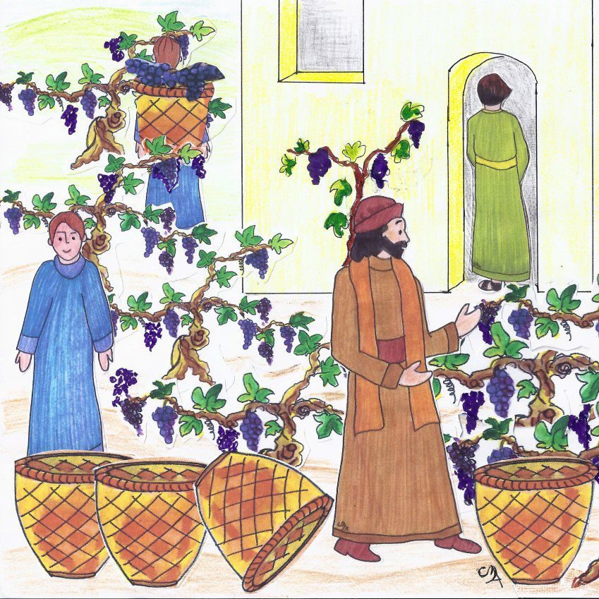 Vigne du Seigneur